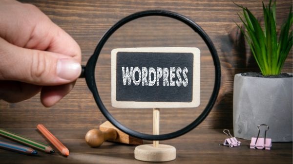 The Benefits Of Building WordPress Blog By Yourself